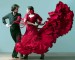 ESP-flamenco.jpg